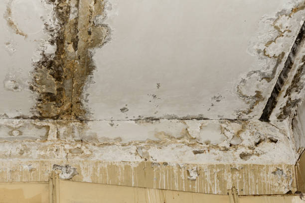 Professional Water damage restoration in Strafford, MO